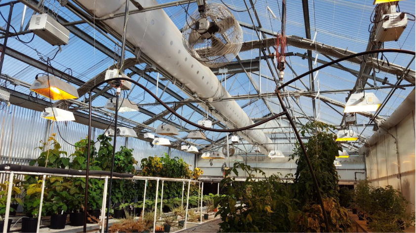 Greenhouses Image