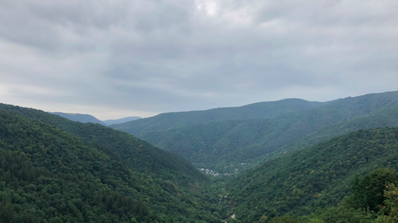 Georgia