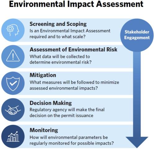 Environmental Impact Assessment Flow Chart