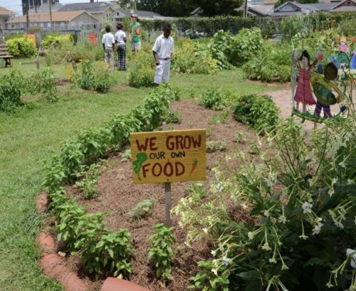 Image of Farm